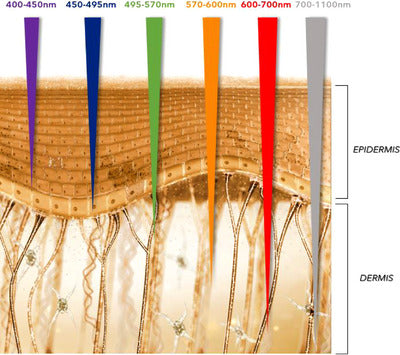 Two wavelengths, two jobs